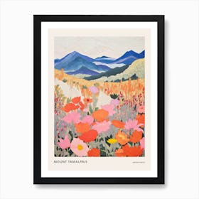 Mount Tamalpais United States 1 Colourful Mountain Illustration Poster Art Print