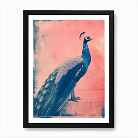 Pink & Blue Peacock Portrait Cyanotype Style   1 Art Print