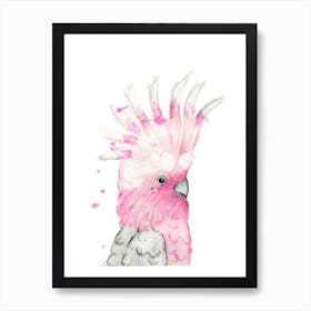 Galah Art Print