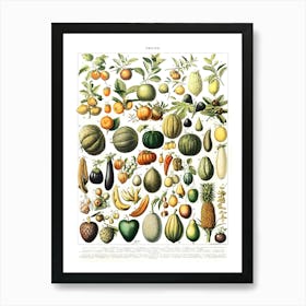 Fruits and Vegetables Vintage Art Print