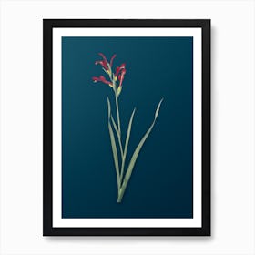 Vintage Gladiolus Cunonius Botanical Art on Teal Blue n.0019 Art Print