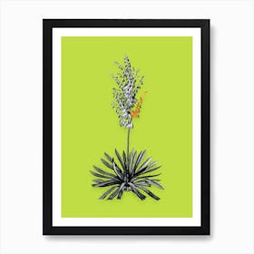 Vintage Adams Needle Black and White Gold Leaf Floral Art on Chartreuse n.0106 Art Print