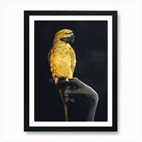 Golden Parrot On Hand Art Print