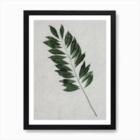 Single Stem Of Leaves Art Print