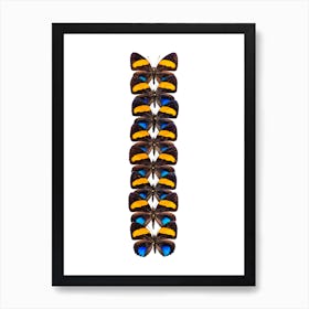 Row Of Orange And Black Butterflies Art Print