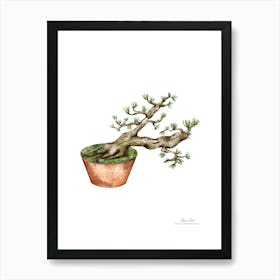 Bonsai Tree A fine artistic print that decorates the place. Art Print