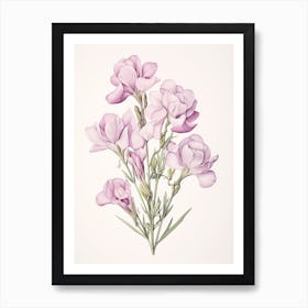 Freesias Flower Vintage Botanical 2 Art Print