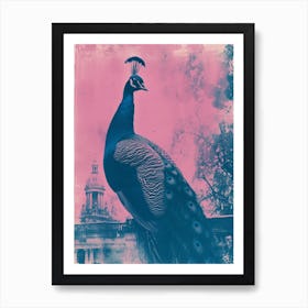 Peacock In A Palace Cyanotype Inspired 1 Art Print