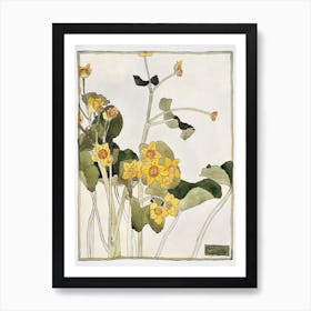 Marsh Marigold (1915), Hannah Borger Overbeck Art Print