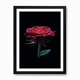 Red Rose On Black Background 65 Art Print