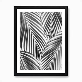 Palm Leaves - Black & White Art Print