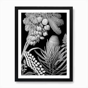 Pincushion Hakea Fern Linocut Art Print