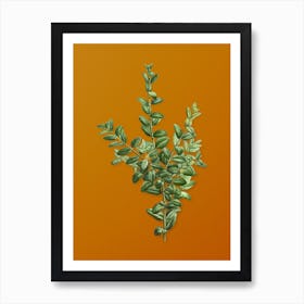 Vintage Boxwood Bush Botanical on Sunset Orange n.0843 Art Print