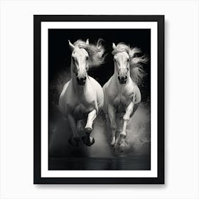 Two White Horses Running 2 Art Print