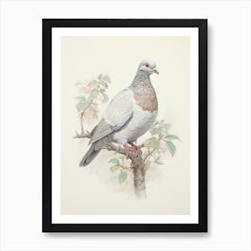 Vintage Bird Drawing Pigeon 3 Art Print
