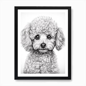 Poodle Dog, Line Drawing 3 Art Print