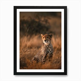 Cheetah 1 Art Print