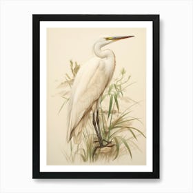 Vintage Bird Drawing Egret 1 Art Print