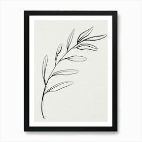 Olive Branch Drawing Art Print