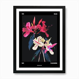 No Rain No Flowers Poster Bougainvillea 1 Art Print