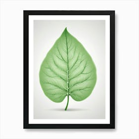 Green Leaf Vector Art Print