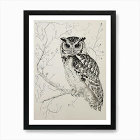 Spotted Owl Drawing 2 Art Print