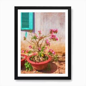 Pink Flowering Plant In A Pot Vietnam Art Print
