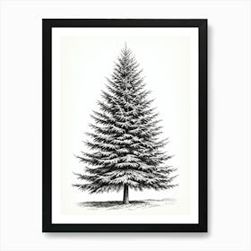 Fir Tree Pencil Sketch Ultra Detailed 6 Art Print