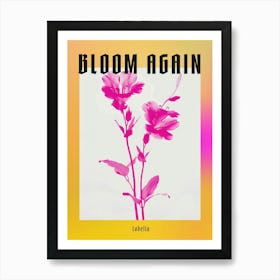 Hot Pink Lobelia 1 Poster Art Print