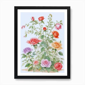 Watercolor Beautiful Roses Art Print