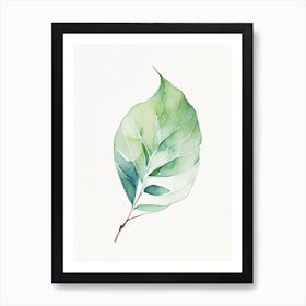 Wintergreen Leaf Minimalist Watercolour 1 Art Print