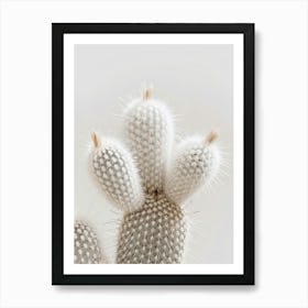 Cactus On White Background Art Print