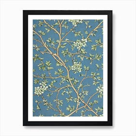 Hawthorn tree Vintage Botanical Art Print