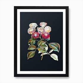 Vintage Seven Sister's Rose Botanical Watercolor Illustration on Dark Teal Blue n.0590 Art Print