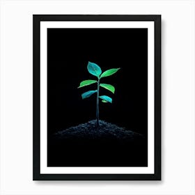 Tree Growing In The Dark Art Print