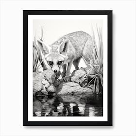 Fennec Fox Finds Water Pencil Drawing 1 Art Print