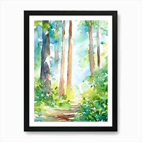 Watercolor Of A Forest Path 1 Art Print