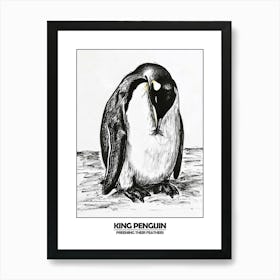 Penguin Preening Their Feathers Poster 6 Art Print