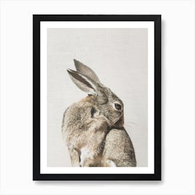 Coy Bunny Art Print