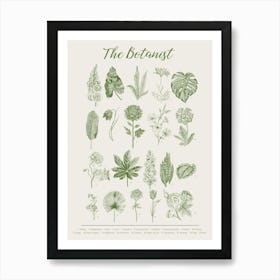 Botanical Print in Green Art Print