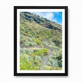 From The Point Green Valley Path Art Print