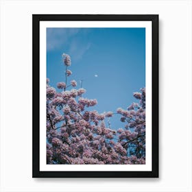 Cherry Moon Art Print