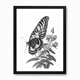 Black Swallowtail Butterfly Andy Warhol Inspired 1 Art Print