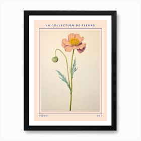 Cosmos French Flower Botanical Poster Art Print