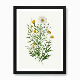 Vintage Botanical Galleria Style Wildflower Painting 48 Art Print