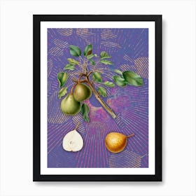 Vintage Pear Botanical Illustration on Veri Peri n.0238 Art Print
