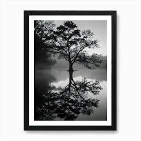 Lone Tree 9 Art Print