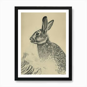 Jersey Wooly Rabbit Drawing 2 Art Print