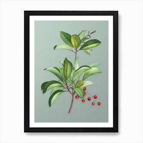 Vintage Greek Strawberry Tree Botanical Art on Mint Green Art Print
