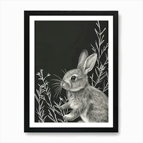 Britannia Petite Rabbit Minimalist Illustration 3 Art Print